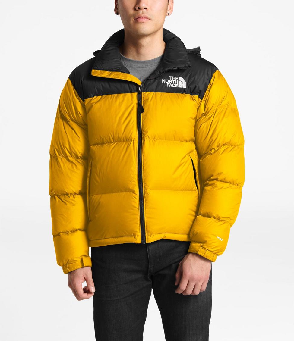 the north face 300
