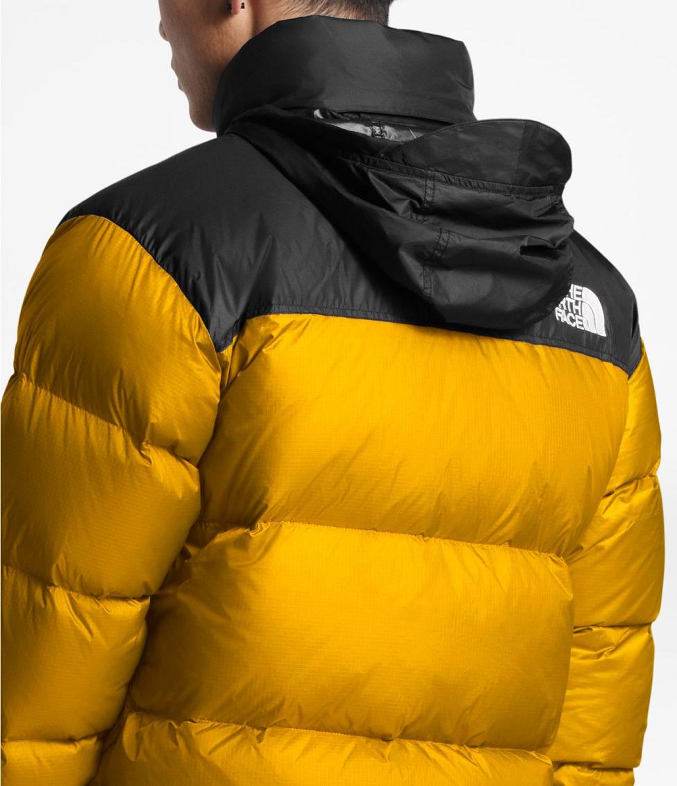 north face yellow jacket