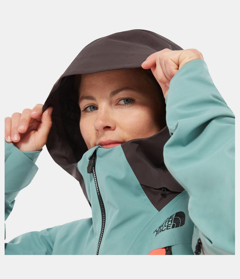 North Face Womens Ski Jacket The Sale 