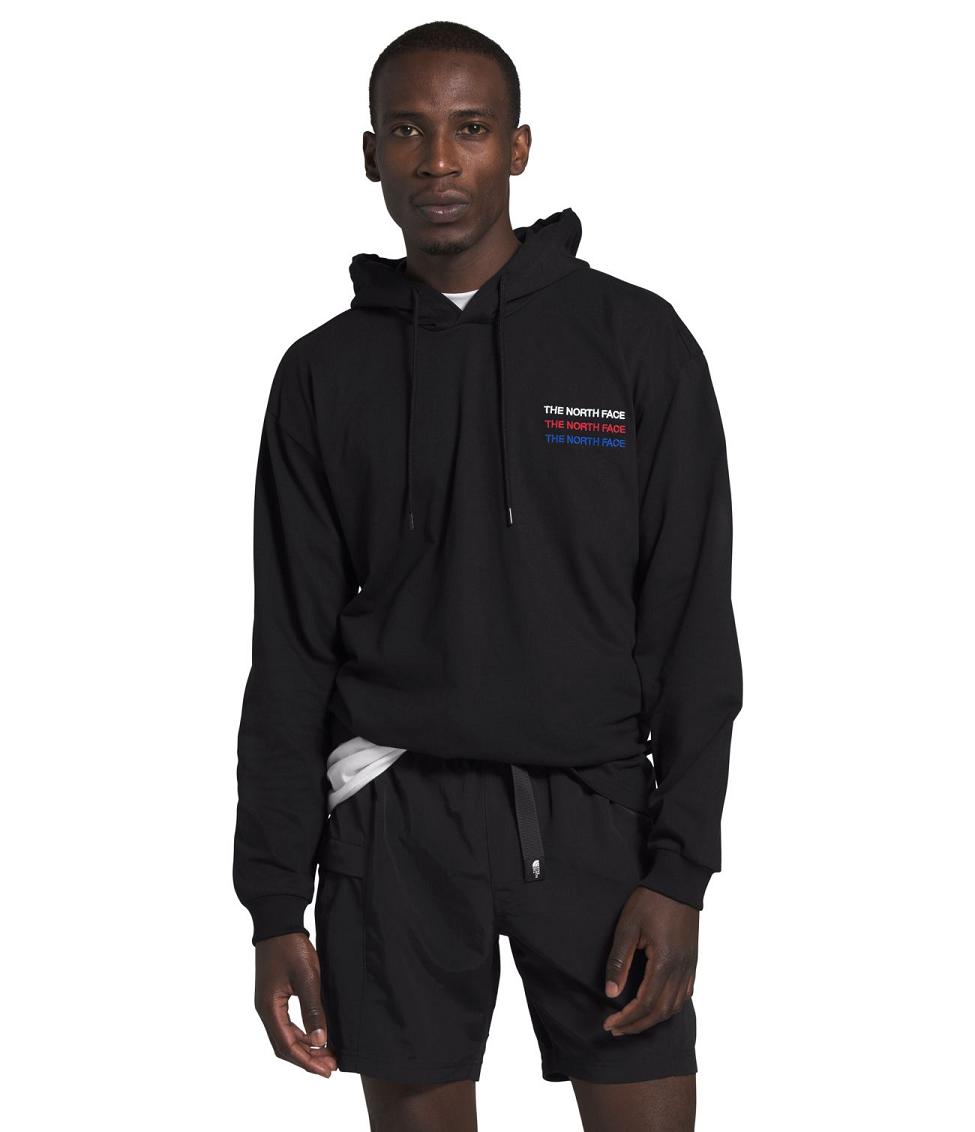 mens hoodies the north face