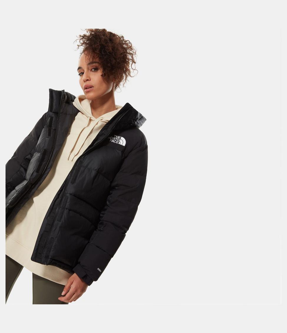 lowest price north face jackets