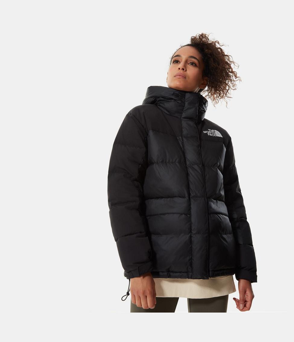 North Face Womens Parka Online Discount 