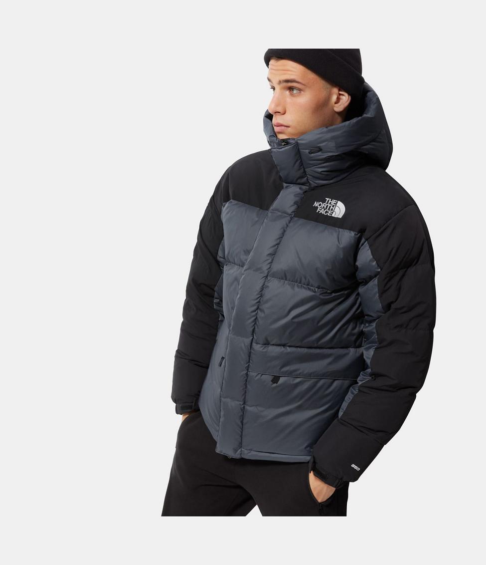 the north face coat grey