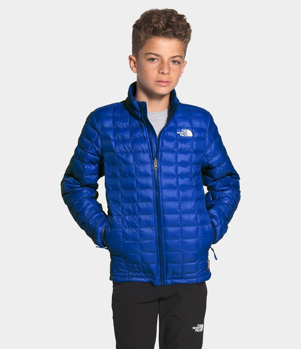 toddler boy north face jacket sale