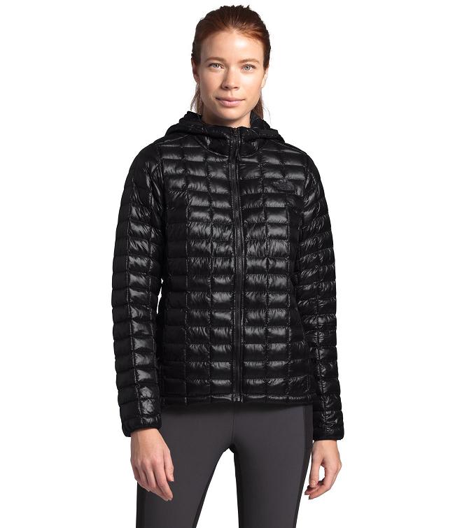North Face Winter Jacket Womens IE 